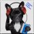 Обкладинка Dj Bobojon - A Dog's Perspective
