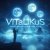 Обкладинка ViTaLiKuS - Сияет яркая полночная луна…