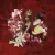 Cover PinkPantheress - Girl Like Me