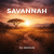 Обкладинка DJ Broun - Savannah