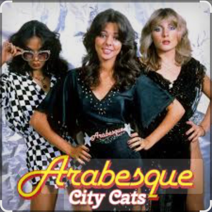 Cover Arabesque - Stupid Boys
