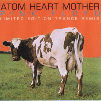 Cover Pink Floyd & The Orb - Atom Heart Mother
