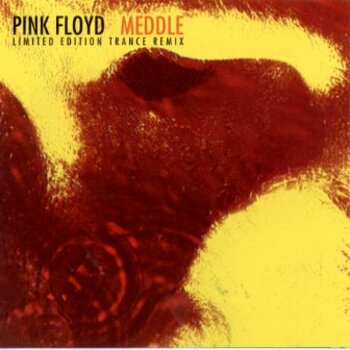 Cover Pink Floyd & The Orb - One Of These Days