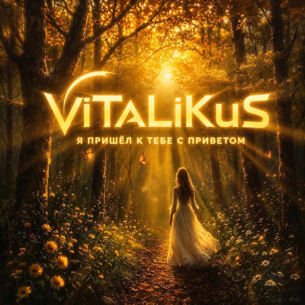  ViTaLiKuS - Я пришёл к тебе с приветом