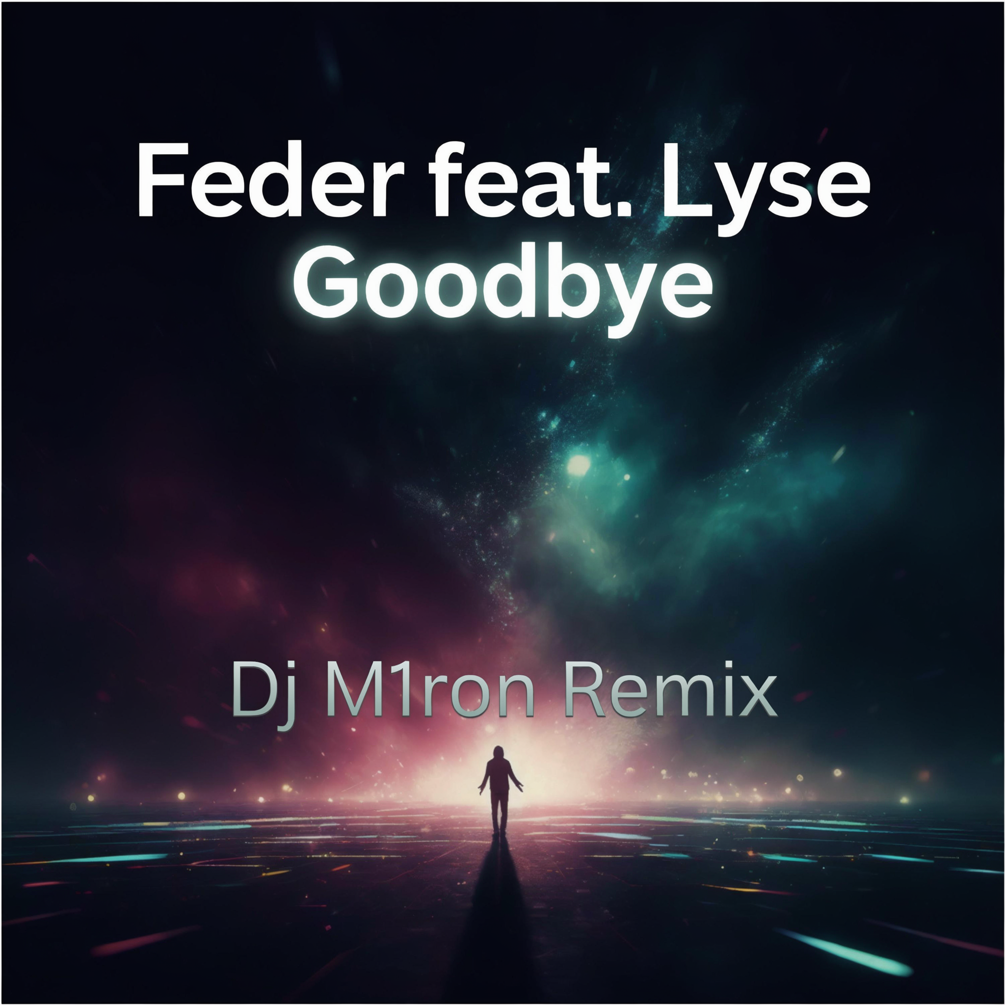 Обкладинка Feder feat. Lyse - Goodbye (Dj M1ron Remix)