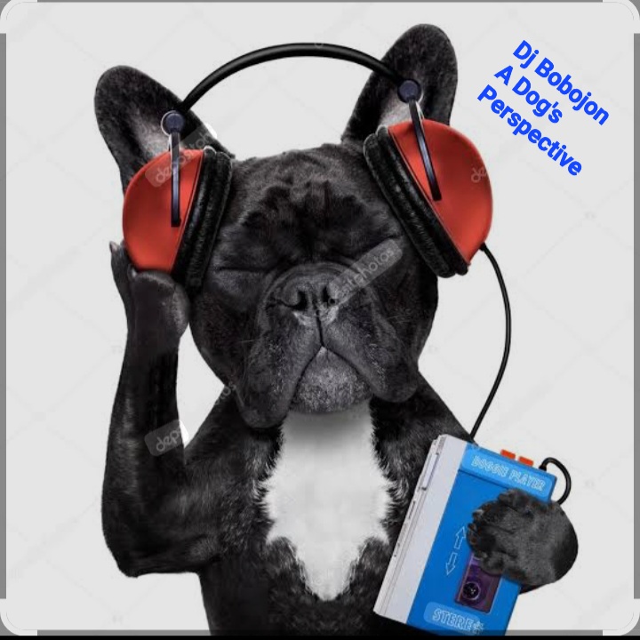 Обкладинка Dj Bobojon - A Dog's Perspective