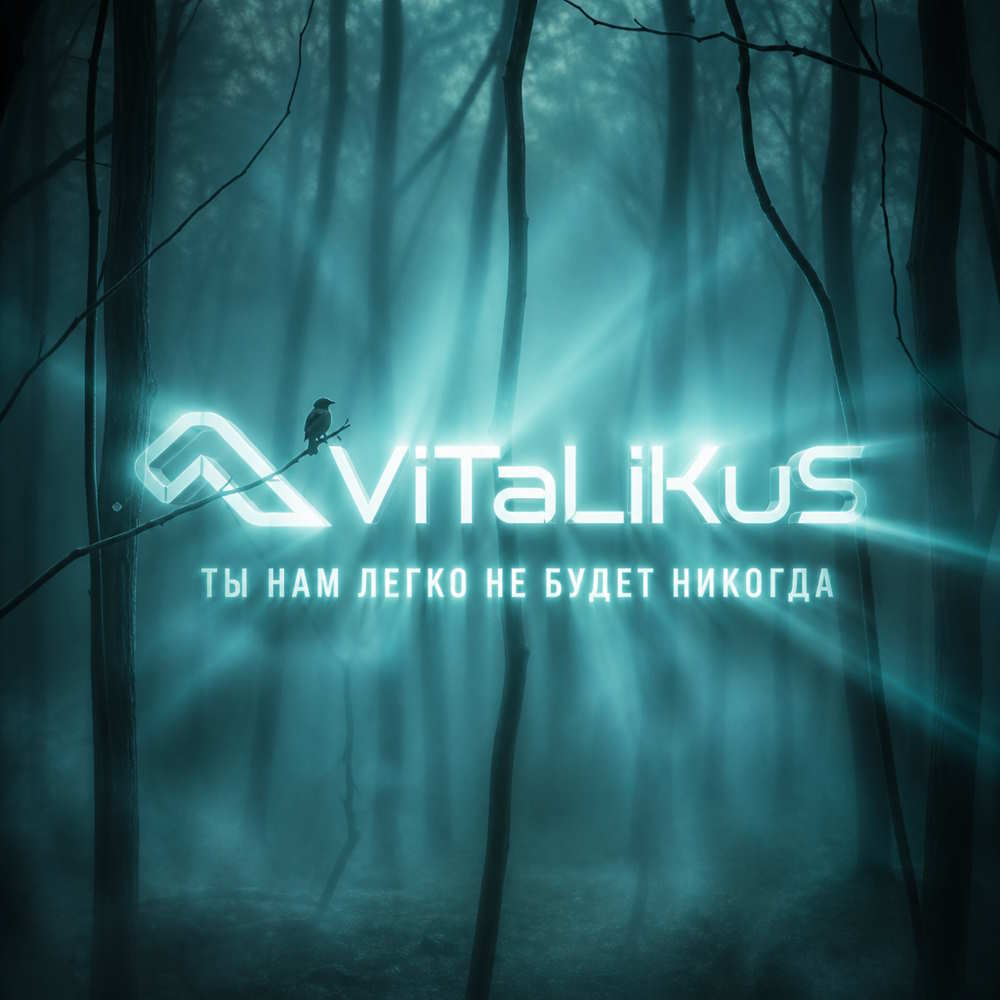  ViTaLiKuS - Нам легко не будет никогда