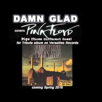 Обкладинка DAMN GLAD - Pigs