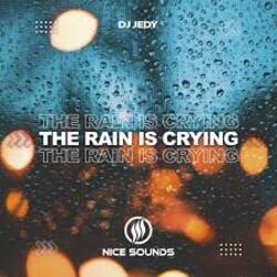 Обкладинка DJ JEDY - The Rain Is Crying
