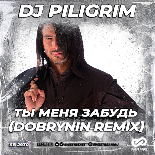 Обкладинка Dj Piligrim - Ты меня забудь