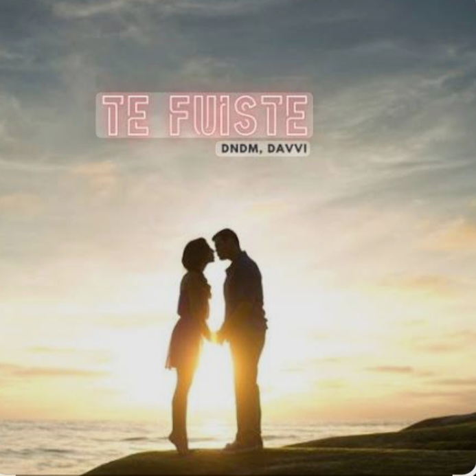 DNDM & Davvi - Te Fuiste