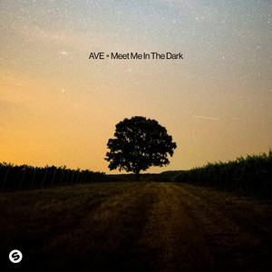  AVE - Meet Me In The Dark
