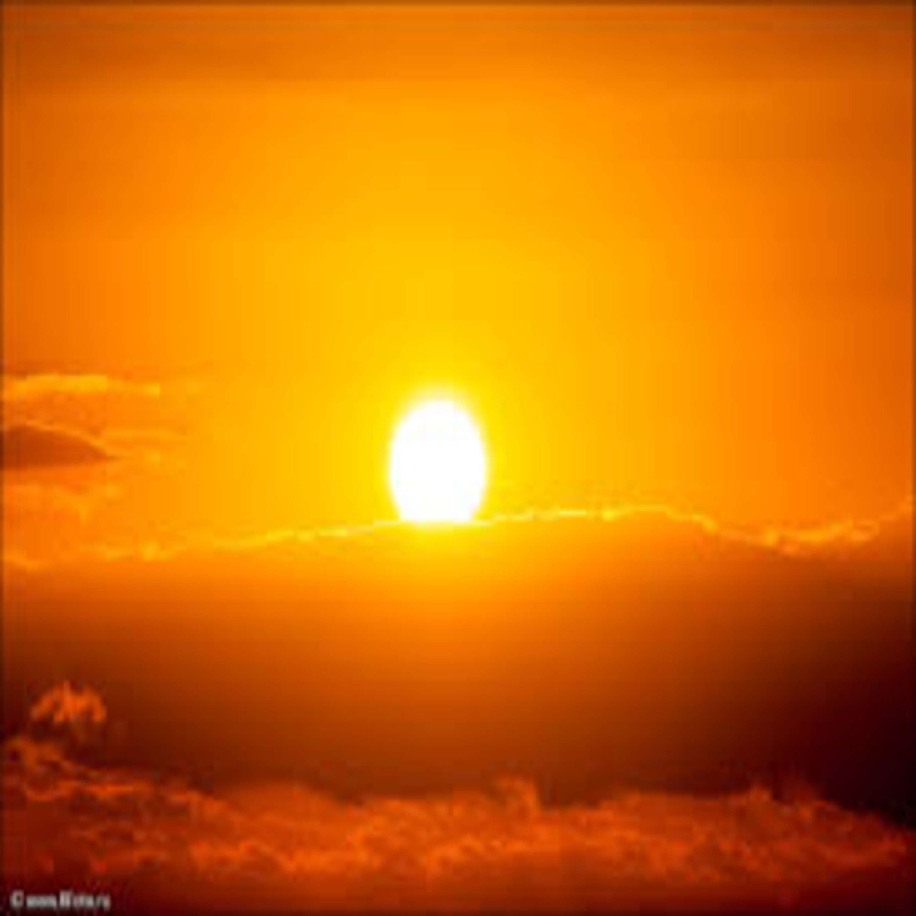 Cover Alex Levin - Stay Till Dawn