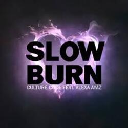 Обкладинка NEIMXX - Slow Burn