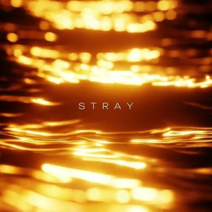  R3DN1K - Stray
