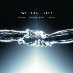 Without You