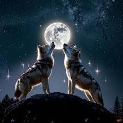 Brotherhood