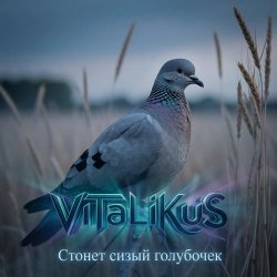 ViTaLiKuS - Стонет сизый голубочек ViTaLiKuS - Стонет сизый голубочек