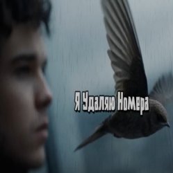 � ������ ������
