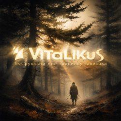 ViTaLiKuS - Ель рукавом мне тропинку завесила… ViTaLiKuS - Ель рукавом мне тропинку завесила…
