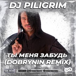 Dj Piligrim - Ты меня забудь Dj Piligrim - Ты меня забудь