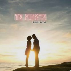 DNDM & Davvi - Te Fuiste DNDM & Davvi - Te Fuiste