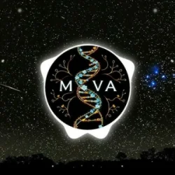 AI MOVA - Остання ніч AI MOVA - Остання ніч