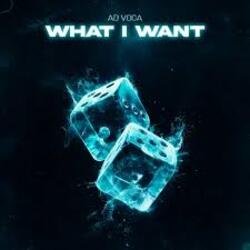 Ad Voca - What I Want Ad Voca - What I Want