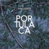 Colleoni - Sinonimi E Contrari