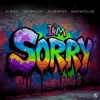 Обкладинка DJ Wout x Jan Vervloet x Pulsedriver - I'm Sorry DJ Wout x Jan Vervloet x Pulsedriver - I'm Sorry