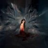 Noémi Büchi - After the fold