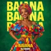 Cover Dj Dark - Baiana Dj Dark - Baiana