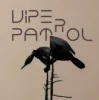Обкладинка Viper Patrol - What Is (Original Mix) Viper Patrol - What Is (Original Mix)
