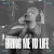 Обкладинка Rain Paris - Bring Me To Life