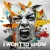 Cover AnAmStyle - What_s That