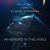 Обкладинка Talla 2XLC x York x DJ Sakin & Friends - Whispers In The Wind (Extended Mix)
