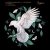 Cover Eleonora, Flowers on Monday - What If I Told You (Extended Mix)