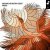 Cover Aurosonic & Brittany Egbert - Phoenix (Original Mix)