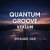 Cover Vexlum - Quantum Groove 029