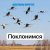 Cover Анастасия Иркутск - Поклонимся