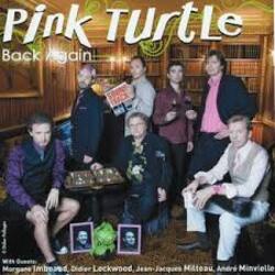  Pink Turtle - Money