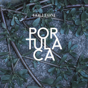  Colleoni - Senza Primavera