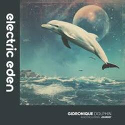  Gidronique - Dolphin