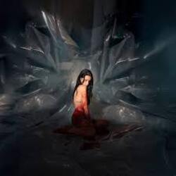 Noémi Büchi - The cryptic precision