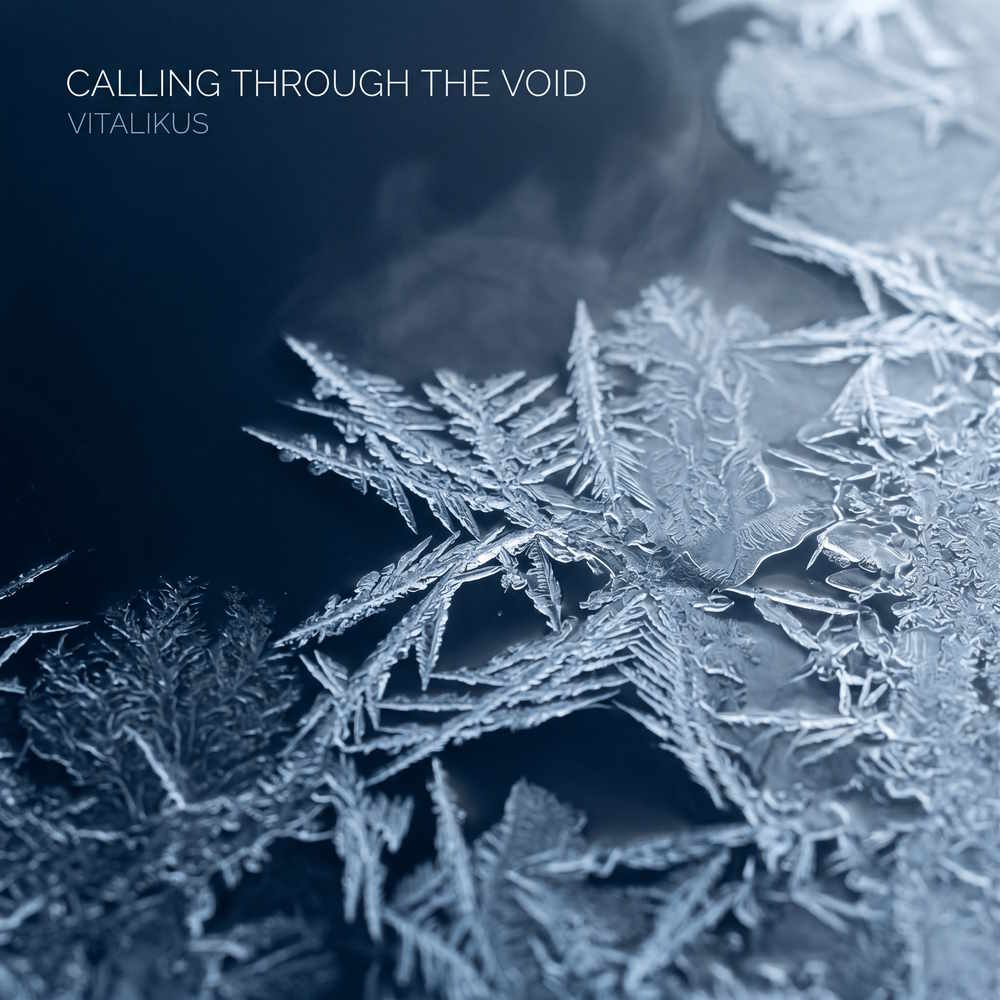 ViTaLiKuS - Calling Through the Void