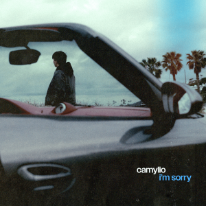  Camylio - i'm sorry (Dj Vianu Remix)