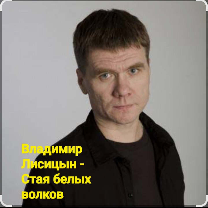  Владимир Лисицын - Стая белых волков
