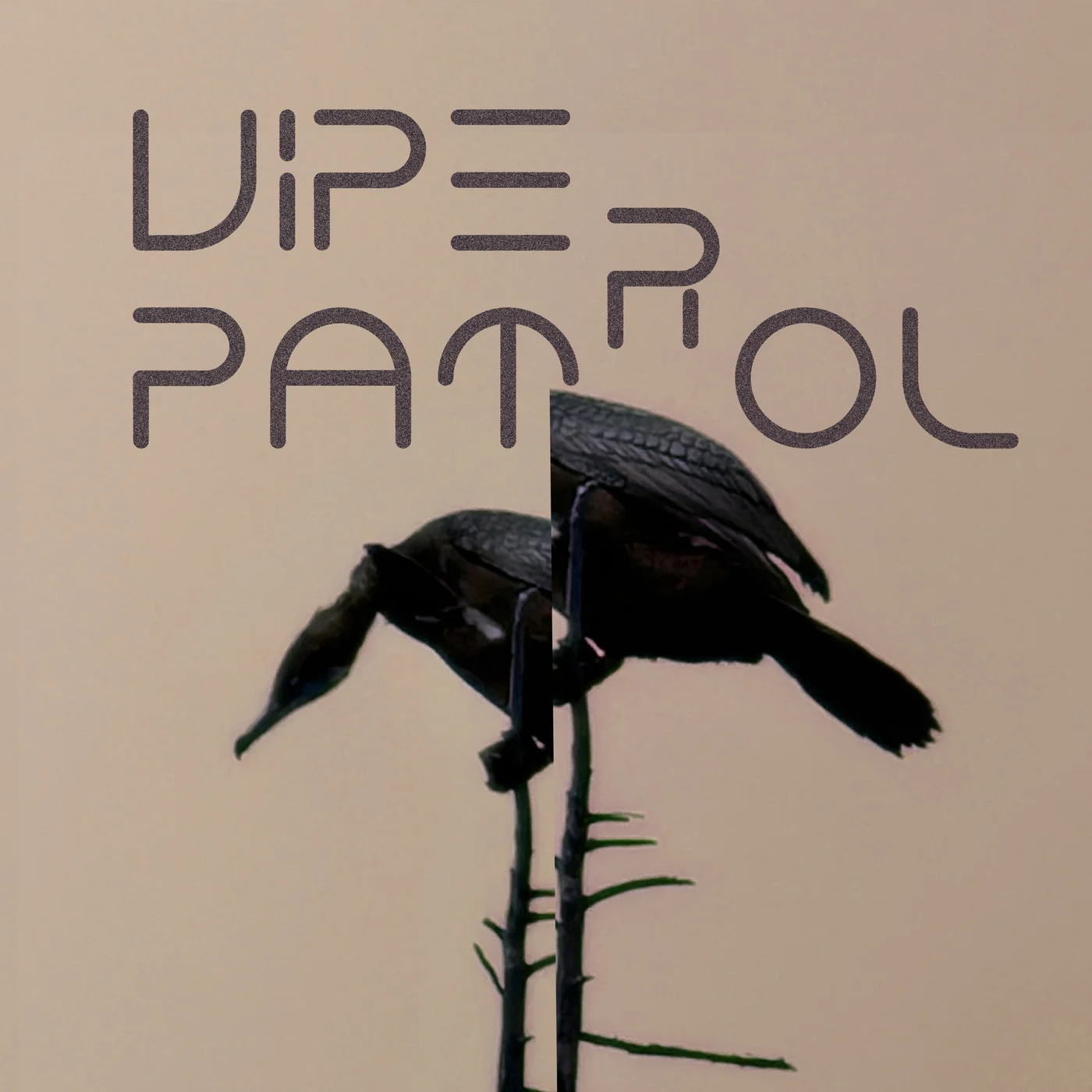  Viper Patrol - What Is (Original Mix)