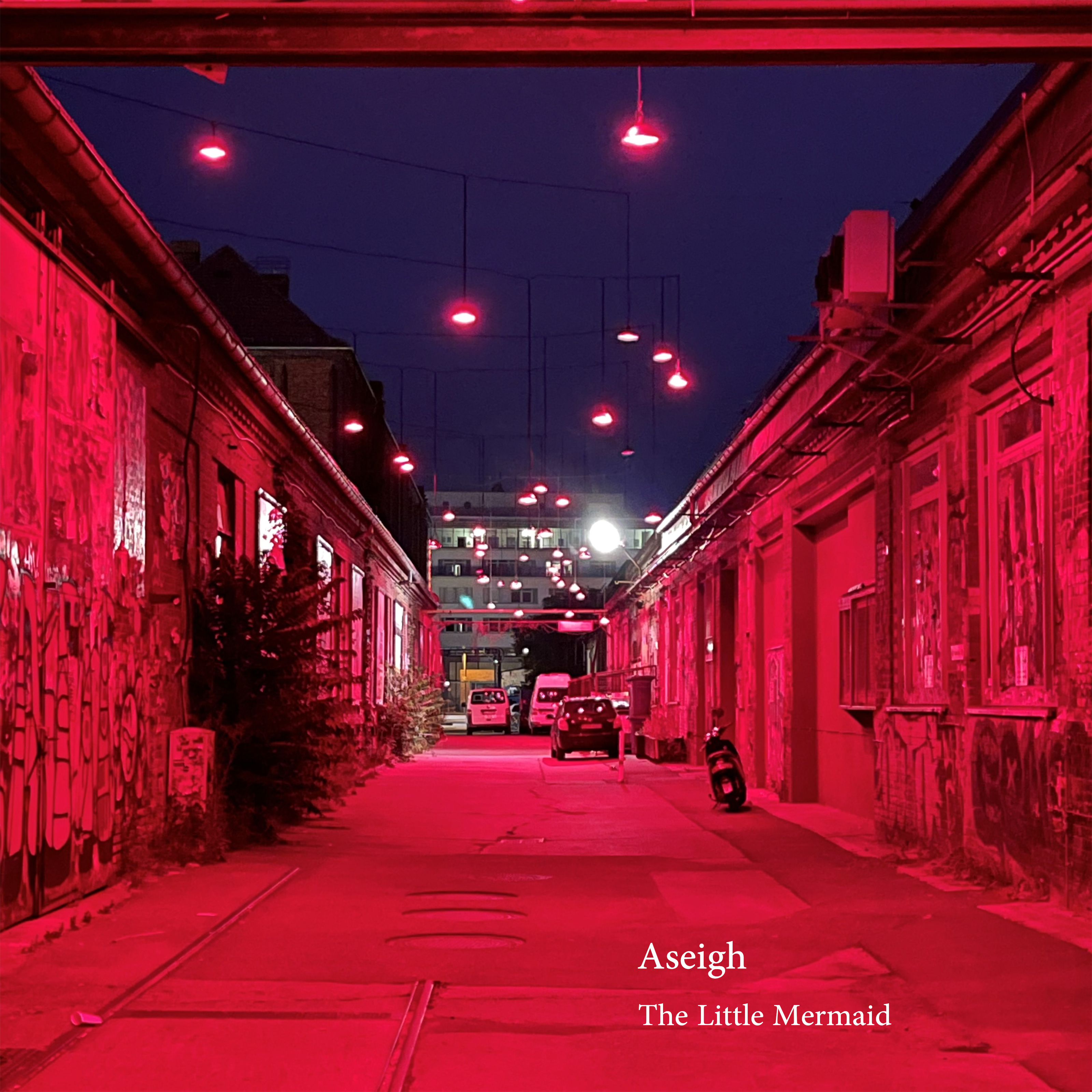  Aseigh - New Whale