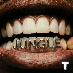  TroyBoi & Shiwa - Jungle